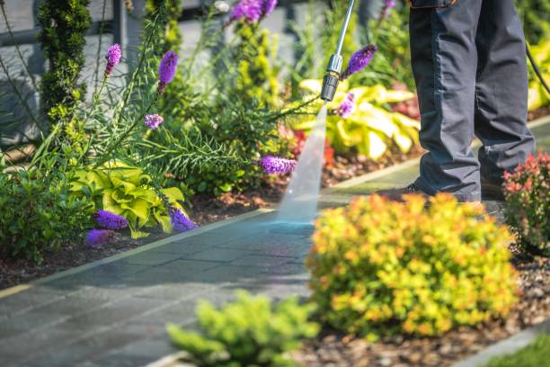 Best Factory Floor Cleaning  in Old Fig Garden, CA