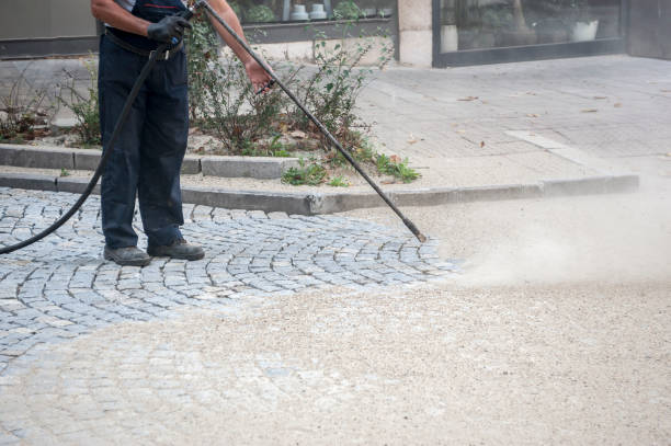 Best Fence Cleaning  in Old Fig Garden, CA