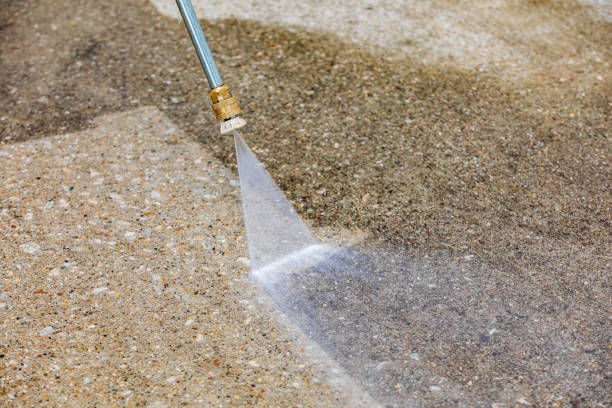 Best Roof Washing  in Old Fig Garden, CA
