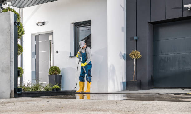 Best Spring Cleaning  in Old Fig Garden, CA
